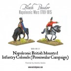 New: Napoleonic British Command