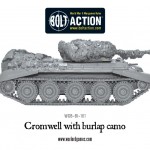 WGB-BI-161-Cromwell-burlap-camo-d
