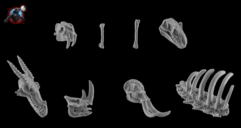 Prehistoric Skulls Set