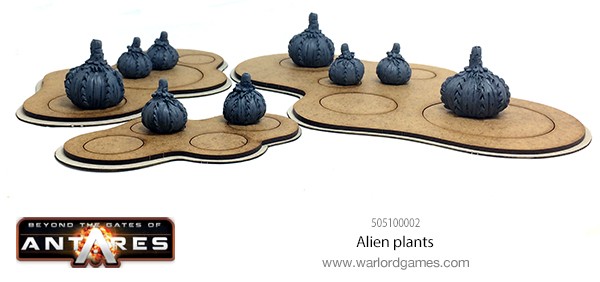 505100002 Alien Plants C