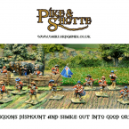 History: Pike & Shotte Dragoons